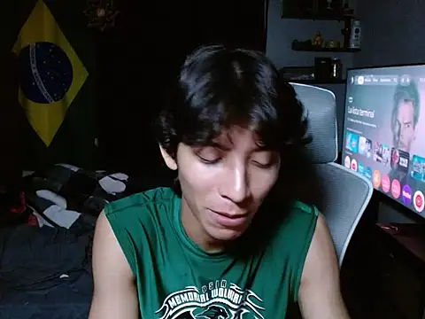 AvenaBoy webcam