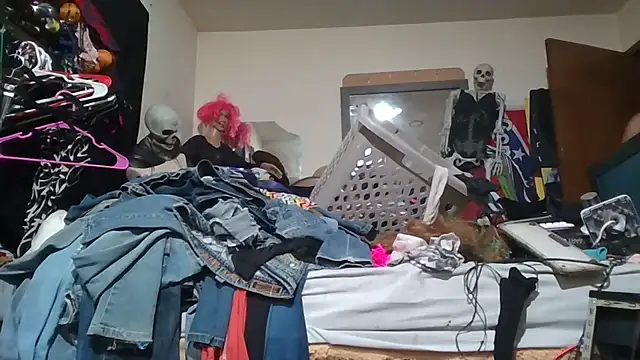 slinginbigD webcam