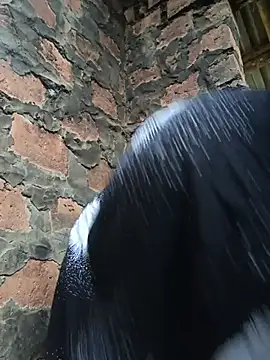 Pretty_Barbie0 live sex cam