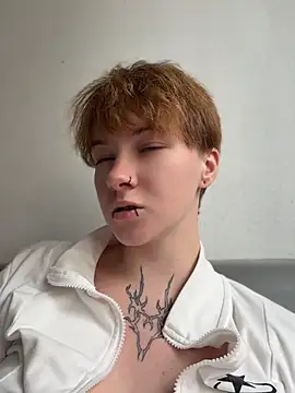 IceMur webcam