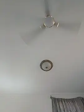 Champdawg247 live cam on StripChat