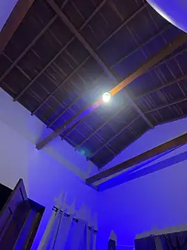TonyPetrovjs