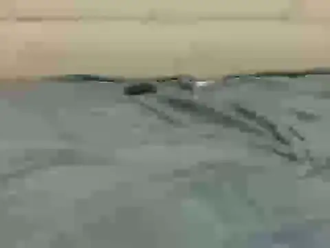AFROSEXX
