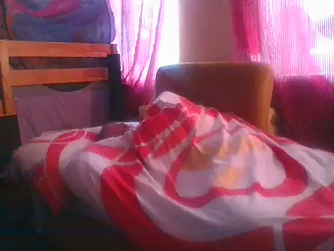 82liska webcam