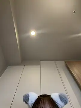 Lno_toromi