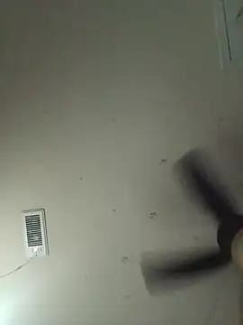Kyngbigdick webcam