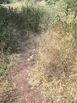 Pune_guy_cillab