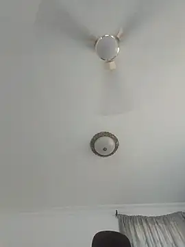 Champdawg247 live cam on StripChat