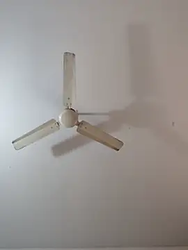 Manasa_