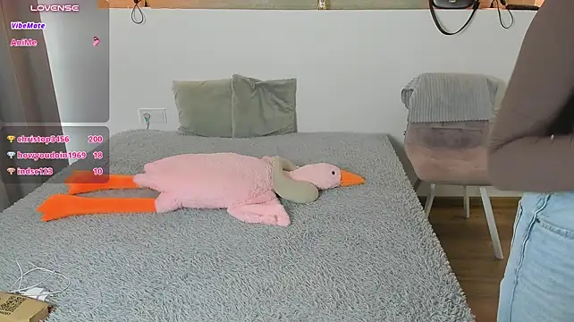 Kitkatvel webcam