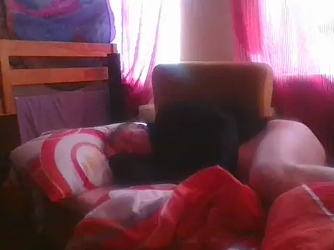 82liska webcam