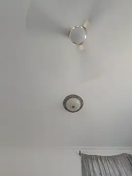 Champdawg247 live cam on StripChat