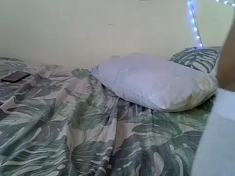 Prettykunta webcam