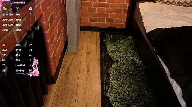 carrollina live cam preview