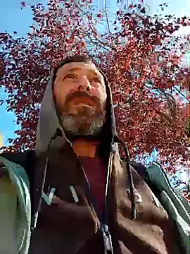 BZH45 webcam