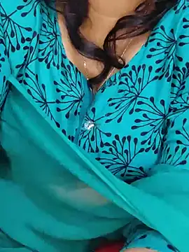 shunjidao live cam preview