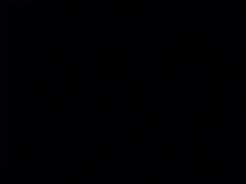 Stubborndesiboy live cam preview