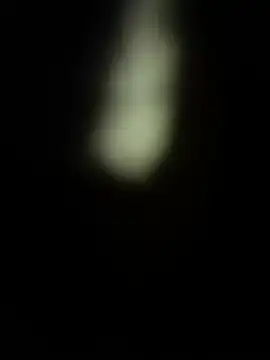 AdriaNochi