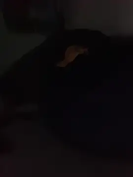 ChuckyyDee
