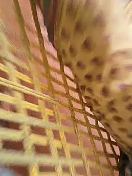 Wyldman_69