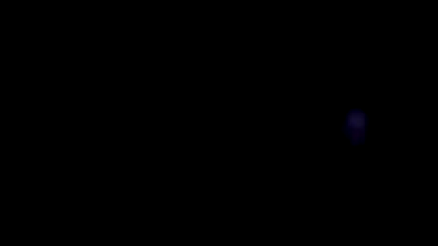 lovelyzylah