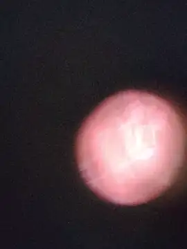 srishti_sharma (F young) - #anal #anal-fingering #anal-indian #anal-petite #anal-young #cam2cam #cheapest-privates #cheapest-privates-indian #cheapest-privates-young #colorful #colorful-young #dirty-talk #fingering #fingering-indian #fingering-young #handy #hd #indian #indian-young #mobile #mobile-young #most-affordable-cam2cam #petite #petite-indian #petite-young #sexting #young