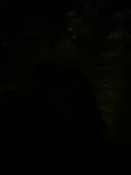 Hoa1a