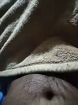 Harsh1113 live cam on StripChat