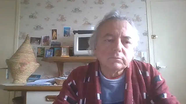 gegevincent5 webcam