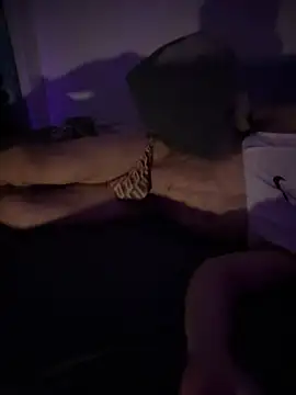 Sexydogetop