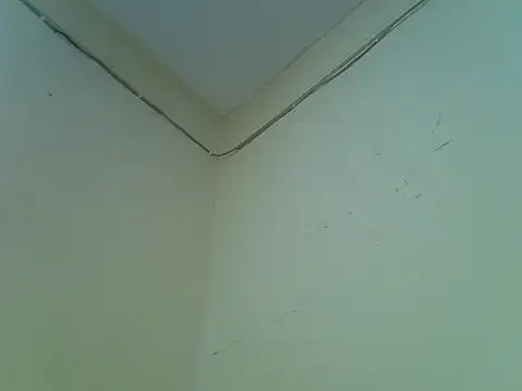 petitegurll2
