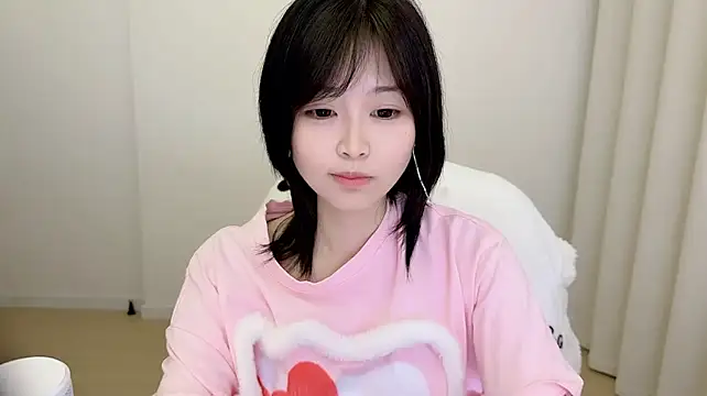 Kakionan webcam