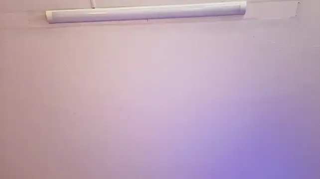 mia_adams_bm