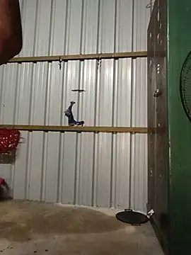Kalai_tamil live cam preview