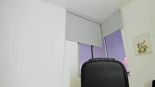 Modèle: barbie_ds