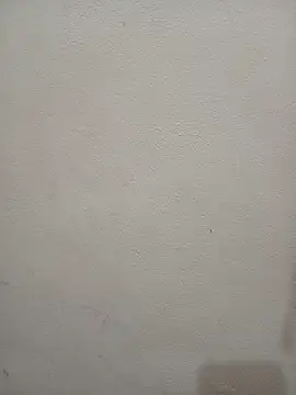 Tanha18 webcam