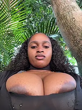 darle_volant webcam