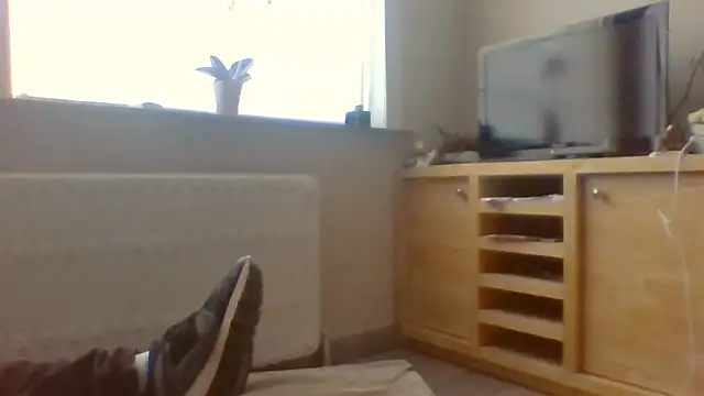 bertolini live cam on StripChat