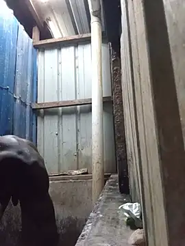 Huge3rdLeg