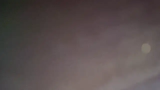 THEFOXESDEN3