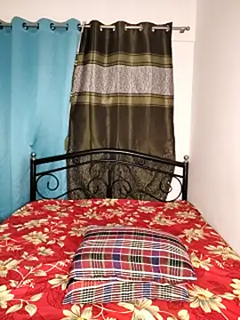 Nepali_bulbul