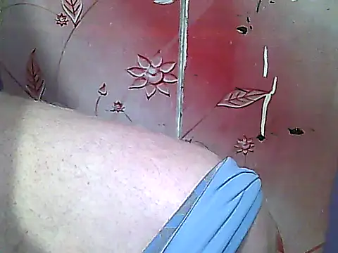 two_colour_cock