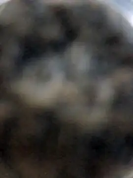 Anubis43 live cam on StripChat
