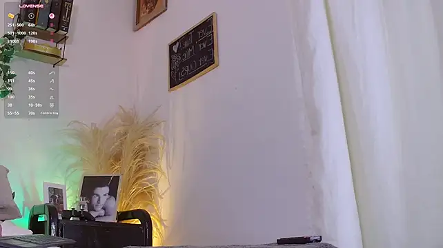 VicenteFerrer webcam