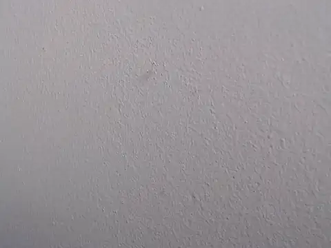 Adriana_0312