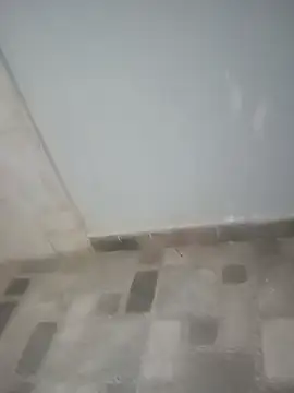 locurasdetodo