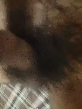 v310 live cam on StripChat