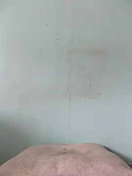 Dracoandr