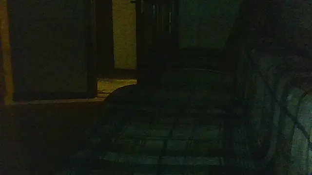 Leylisse webcam