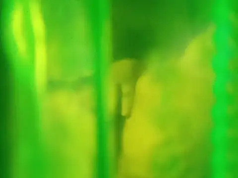 Tina_Mirabella